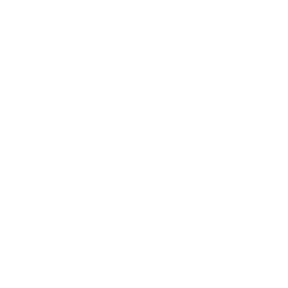 logoicon